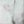 kr�ta
